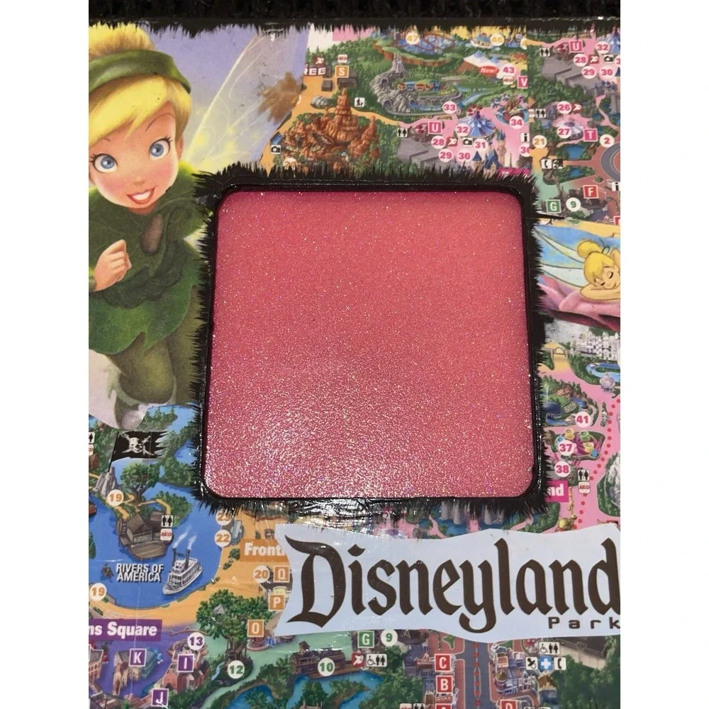 Vintage‎ Disneyland Tinkerbell Faux Wood Picture Frame Lightweight